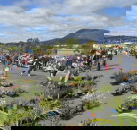 Hobart Showground Sunday Market - Weekly - 2032 Olympic Games