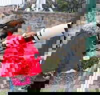 Sydney Observatory Mandarin Tour - 2032 Olympic Games