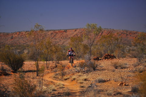 The Redback - 2032 Olympic Games 2