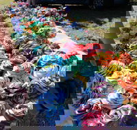 Wynyard Foreshore Market - 2032 Olympic Games