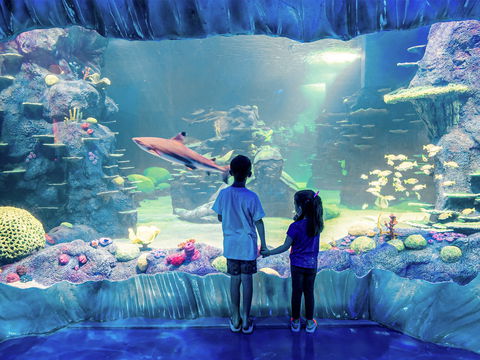 Sydney's Aquarium - 2032 Olympic Games 1