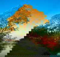 Cadell on the Murray Motel Resort - 2032 Olympic Games