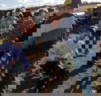 Hunter Valley Resort - 2032 Olympic Games