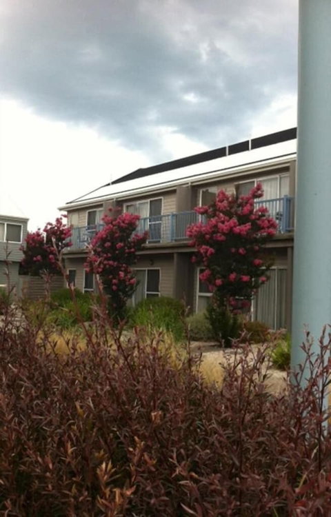 Quest Williamstown North - 2032 Olympic Games 0