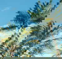 Base Magnetic Island Hostel - 2032 Olympic Games