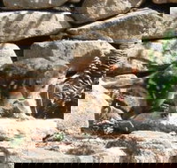 Jenolan Caves House - 2032 Olympic Games