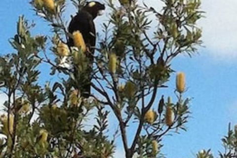 Lake Illawarra B&B - 2032 Olympic Games 1