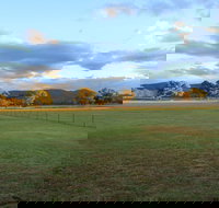 Radiance on Lyra - 2032 Olympic Games