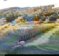 Twisted Gum Cottage - 2032 Olympic Games