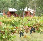 Fergies Hill Spa Cottage at Granite Ridge Wines - 2032 Olympic Games
