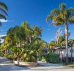 Mollymook Caravan Park - 2032 Olympic Games