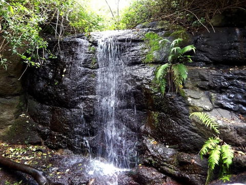 Riverbend Byron Hinterland Retreat - 2032 Olympic Games 2