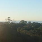 Panorama At Rye - 2032 Olympic Games 1
