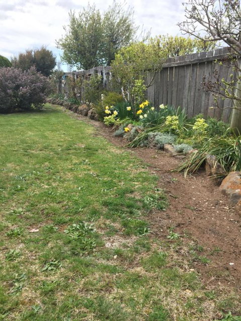 Our Cottage - 2032 Olympic Games 2