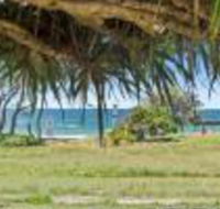 Pandanus on Emerald - 2032 Olympic Games