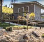 Sunny Gum - 2032 Olympic Games