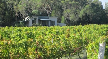 Just Red Wines Vineyard Cabins - 2032 Olympic Games 3