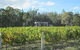 Just Red Wines Vineyard Cabins - thumb 5