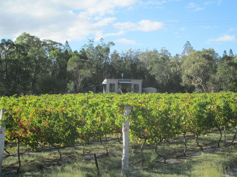 Just Red Wines Vineyard Cabins - 2032 Olympic Games 6