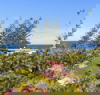 The Beachcomber 113 - 2032 Olympic Games