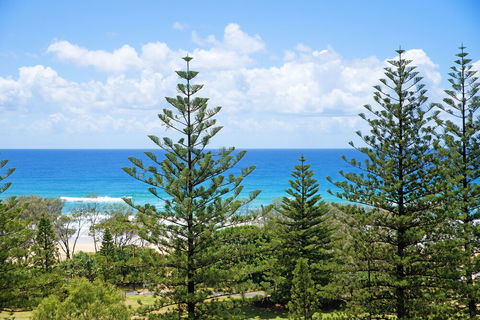 South Pacific Dream Central Broadbeach - 2032 Olympic Games 2