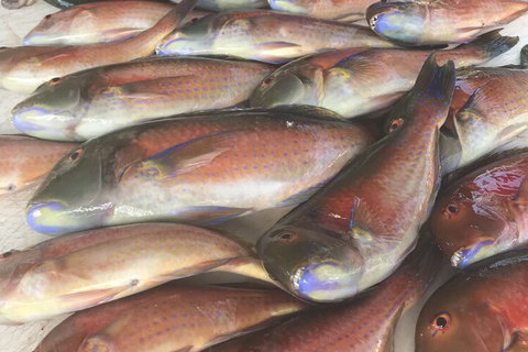 DRIFTWOOD - 2032 Olympic Games 5