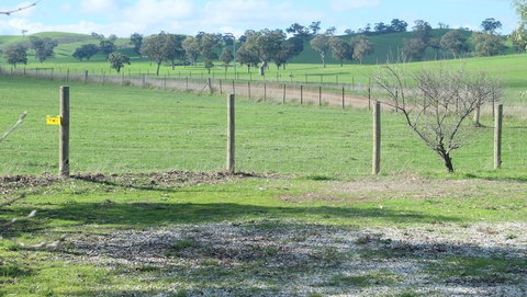 Yea Woodduck Cottage - 2032 Olympic Games 0