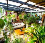 Jaspers Apartments - 2032 Olympic Games