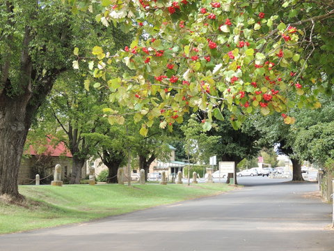 Ross Motel - 2032 Olympic Games 5