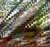 Green Leaves Cabin - 2032 Olympic Games