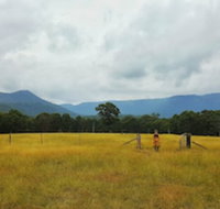 Maya Sanctuary - 2032 Olympic Games