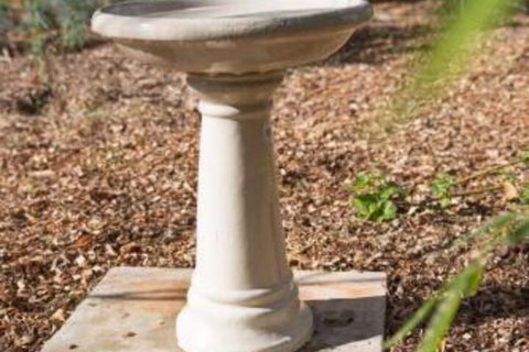 Cowan Street Bungalow - 2032 Olympic Games 2