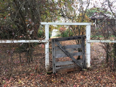 Historic Oak Hill House Estate Truffle Gourmet Festival Region - 2032 Olympic Games 2