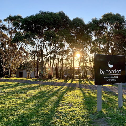 By Moonlight - 2032 Olympic Games 1