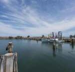 Bayside Beauty - 2032 Olympic Games