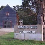 Herons Rise Vineyard Accommodation - 2032 Olympic Games 0