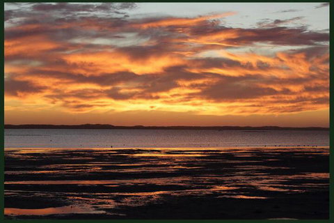 Gumnut Getaway BnB - 2032 Olympic Games 4