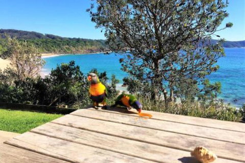 Yallumbee - 2032 Olympic Games 3