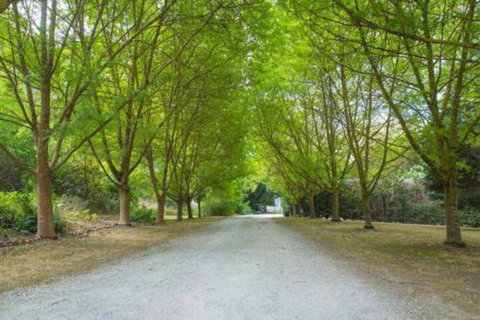 In The Valley - 2032 Olympic Games 6