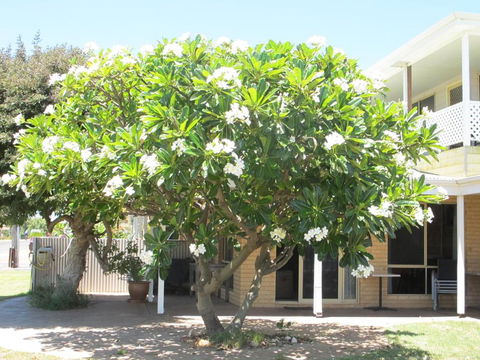 Kalbarri Riverfront Unit - 2032 Olympic Games 3