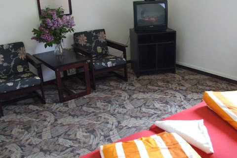 Blackboy Tree Motel - 2032 Olympic Games 6