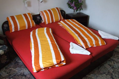 Blackboy Tree Motel - 2032 Olympic Games 5