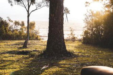 Seagrass On Sunset Bay - 2032 Olympic Games 1