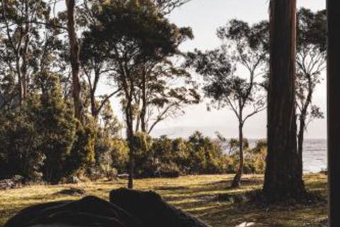 Seagrass On Sunset Bay - 2032 Olympic Games 2