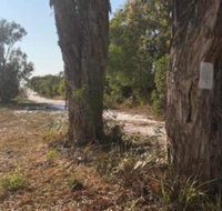 COONARR BEACH  BUNDABERG CAMPING - 2032 Olympic Games