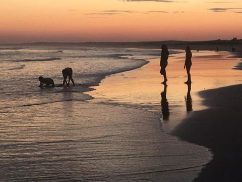 Cromarty Cottage 900m From Birubi Beach - 2032 Olympic Games 6