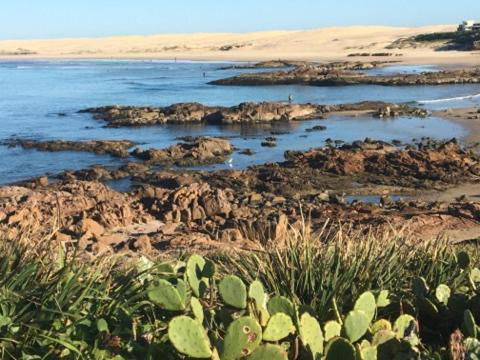 Cromarty Cottage 900m From Birubi Beach - 2032 Olympic Games 4