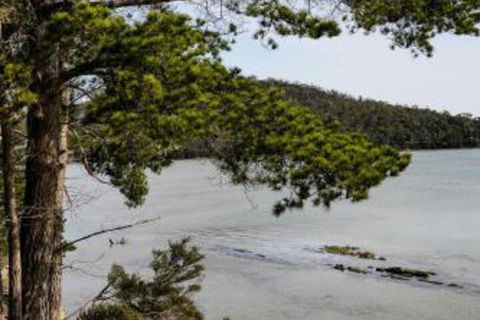Rockpool Cottage - 2032 Olympic Games 4