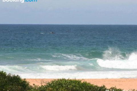 Beachfront Delight 14b Bareena Avenue - 2032 Olympic Games 1