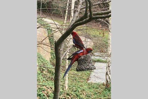 Mt Martha Couples Retreat - 2032 Olympic Games 4